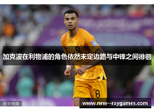 加克波在利物浦的角色依然未定边路与中锋之间徘徊